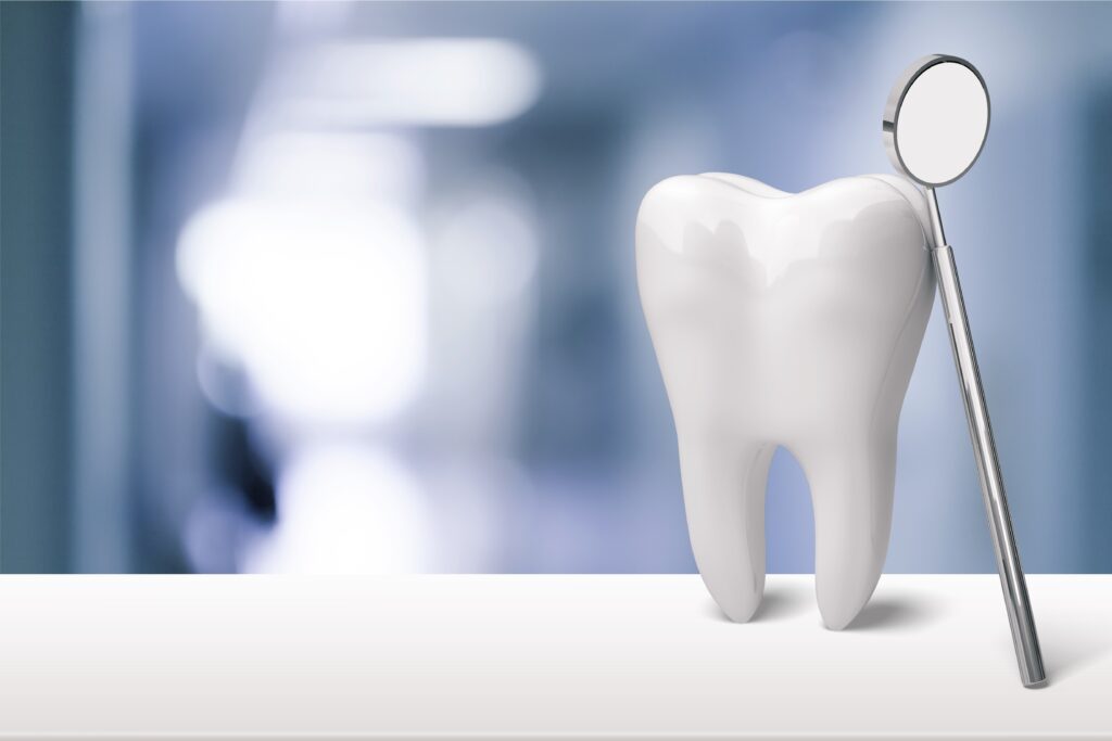 歯の模型に治療器具が立てかけられている